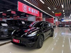 Tesla Model Y Long Range All-Wheel Drive 3D7 - ფოტო 1