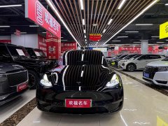 Tesla Model Y Long Range All-Wheel Drive 3D7 - ფოტო 2