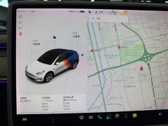Tesla Model Y Long Range All-Wheel Drive 3D7 - ფოტო 5