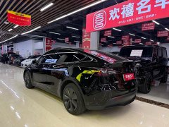Tesla Model Y Long Range All-Wheel Drive 3D7 - ფოტო 6