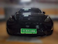 Tesla Model Y Standard Range RWD - ფოტო 3
