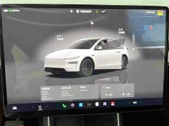 Tesla Model Y Rear-Wheel Drive - ფოტო 10