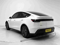 Tesla Model Y Rear-Wheel Drive - ფოტო 18