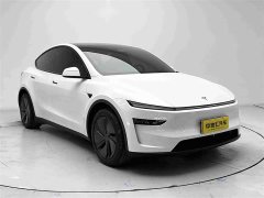 Tesla Model Y Rear-Wheel Drive - ფოტო 3