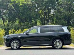Leapmotor D19 Extended Range 500 Deluxe Edition Six-Seater - ფოტო 4