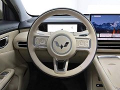 Wuling Bingo S 430km Flagship - ფოტო 15