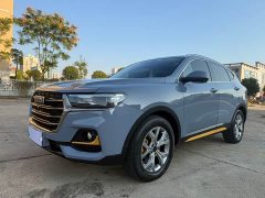 Haval H6 2021 1.5T Automatic Champion Edition - ფოტო 19