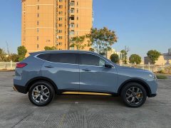Haval H6 2021 1.5T Automatic Champion Edition - ფოტო 4