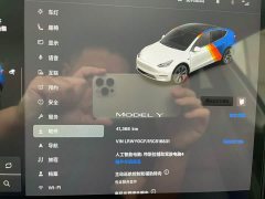 Tesla Model Y Rear-Wheel Drive - ფოტო 15