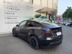 Tesla Model Y Rear-Wheel Drive - ფოტო 17