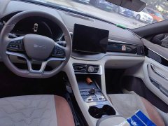 BYD Song Plus New Energy 2025 DM-i 112KM Luxury Edition - ფოტო 12