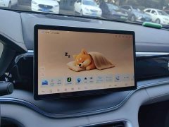BYD Song Plus New Energy 2025 DM-i 112KM Luxury Edition - ფოტო 13