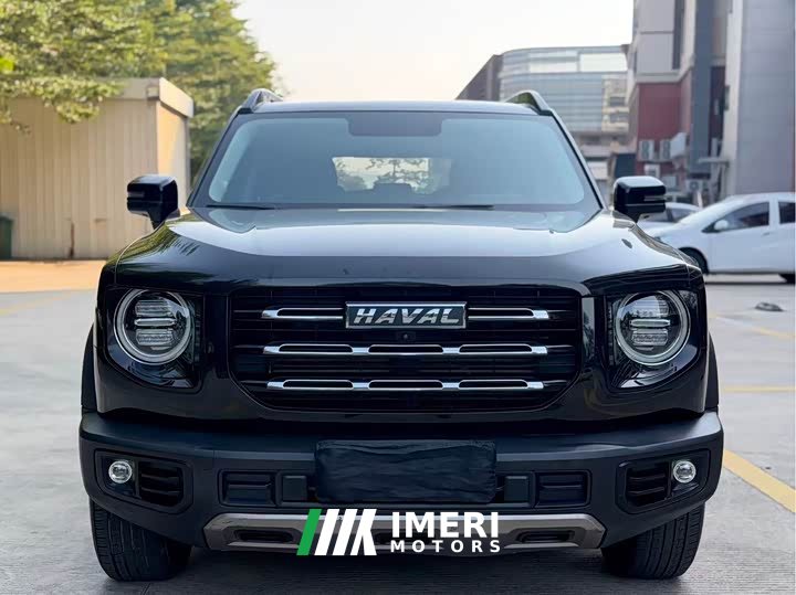 Great Wall Dachshund 1.5T DCT Two-Wheel Drive Border Collie Edition - ავტომობილი ჩინეთიდან