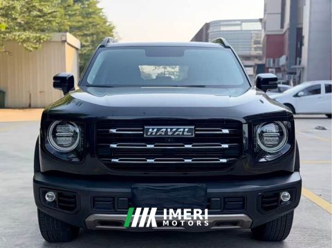 2021 Great Wall Dachshund 1.5T DCT Two-Wheel Drive Border Collie Edition - ავტომობილი ჩინეთიდან