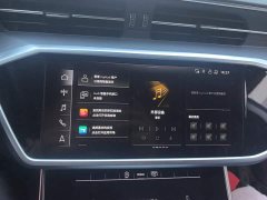 Audi A7L 45TFSI S-line Dream Edition Fluid Crystal Package - ფოტო 13