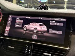 Porsche 2019 Cayenne 3.0T - ფოტო 18
