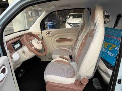 FAW Besturn Xiaoma 170km Vitality Edition - ფოტო 7