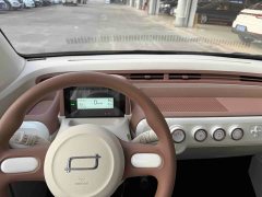 FAW Besturn Xiaoma 170km Vitality Edition - ფოტო 8