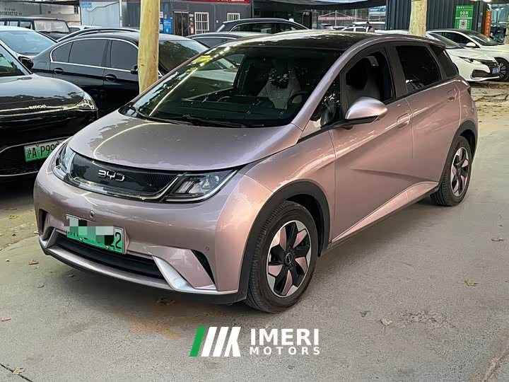 BYD Dolphin Glory Edition 420km Fashion Version - ავტომობილი ჩინეთიდან