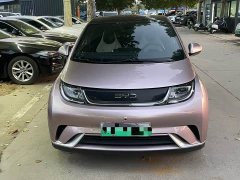BYD Dolphin Glory Edition 420km Fashion Version - ფოტო 2