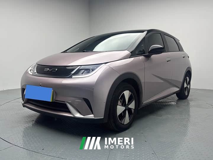 BYD Dolphin 420km Freedom Edition - ავტომობილი ჩინეთიდან