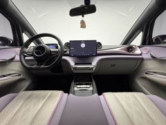 BYD Dolphin 420km Freedom Edition - ფოტო 10