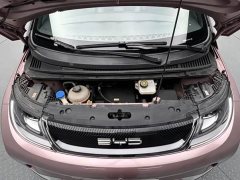 BYD Dolphin 420km Freedom Edition - ფოტო 15