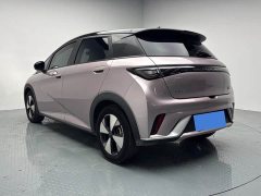 BYD Dolphin 420km Freedom Edition - ფოტო 18