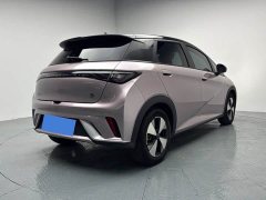 BYD Dolphin 420km Freedom Edition - ფოტო 19