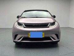 BYD Dolphin 420km Freedom Edition - ფოტო 2