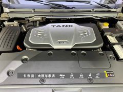 Tank 500 2022 3.0T Business Edition Landscape Trim 5-Seater - ფოტო 20