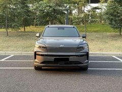 Nio Lerado L90 Max Six-Seater - ფოტო 2
