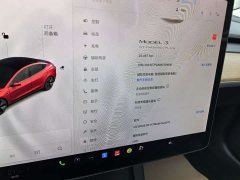 Tesla Model 3 Standard Range RWD Upgrade - ფოტო 9