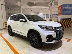 Chery Tiggo 8 2022 1.5T Manual Transmission Premium Edition 5-Seater - ფოტო 3