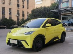 BYD Seagull Vitality Edition - ფოტო 1