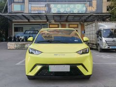 BYD Seagull Vitality Edition - ფოტო 2