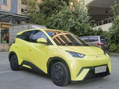 BYD Seagull Vitality Edition - ფოტო 3