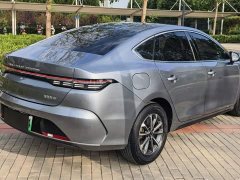 BYD Destroyer 05 Champion Edition DM-i 55KM Luxury - ფოტო 4