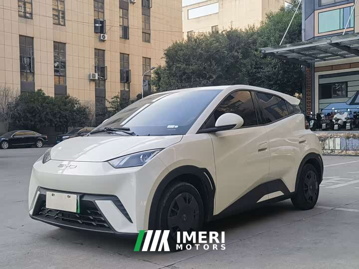 BYD Seagull Vitality Edition - ავტომობილი ჩინეთიდან