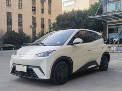 BYD Seagull Vitality Edition - ფოტო 1