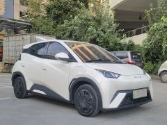 BYD Seagull Vitality Edition - ფოტო 3