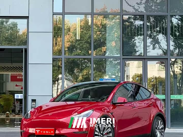 Tesla Model Y Standard Range RWD - ავტომობილი ჩინეთიდან