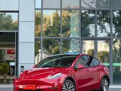 Tesla Model Y Standard Range RWD - ფოტო 1