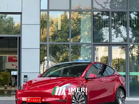 2021 Tesla Model Y Standard Range RWD - автомобиль из Китая
