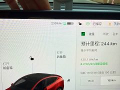Tesla Model Y Standard Range RWD - ფოტო 14