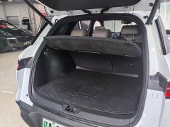 BYD Song Pro New Energy 2023 Champion Edition DM-i 110KM Excellence - ფოტო 11
