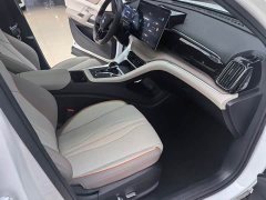 BYD Song Pro New Energy 2023 Champion Edition DM-i 110KM Excellence - ფოტო 14