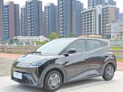 BYD Seagull 2023 Vitality Edition - ფოტო 1