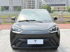 BYD Seagull 2023 Vitality Edition - ფოტო 2
