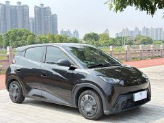 BYD Seagull 2023 Vitality Edition - ფოტო 3